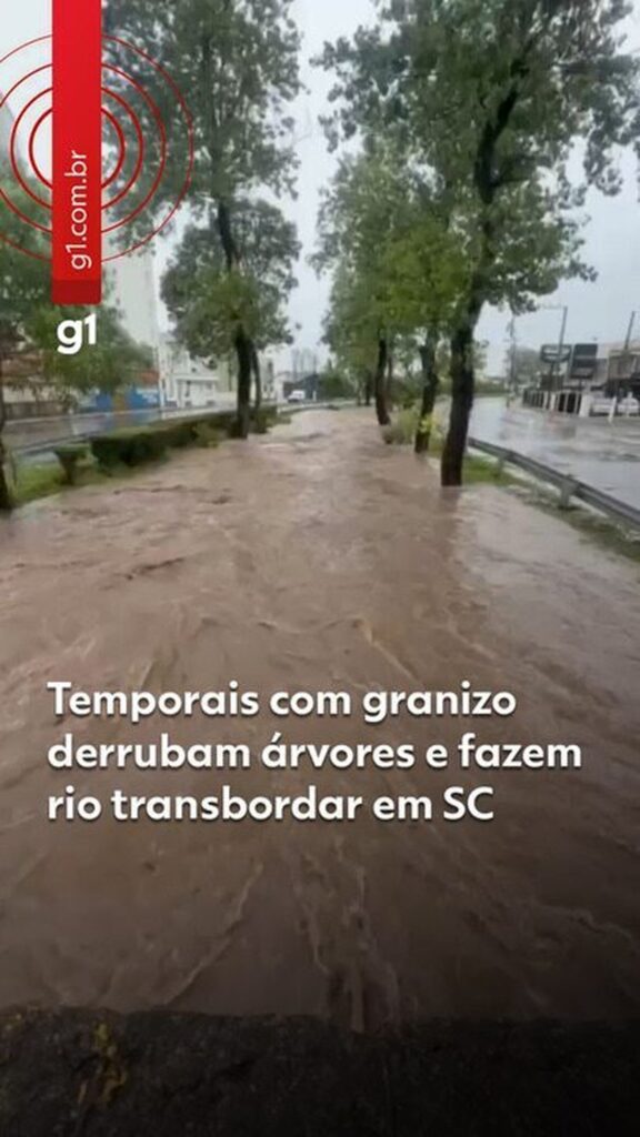 Temporais com granizo derrubam árvores e provocam transbordamento de rio em Santa Catarina